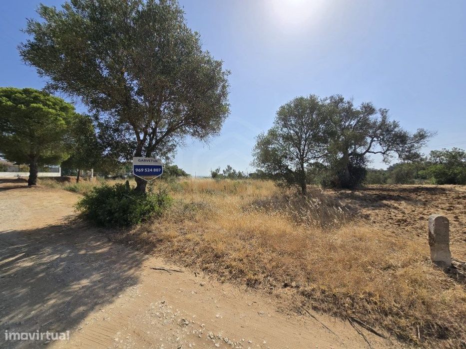 Terreno rústico, com diversas árvores, Boliqueime, Algarve
