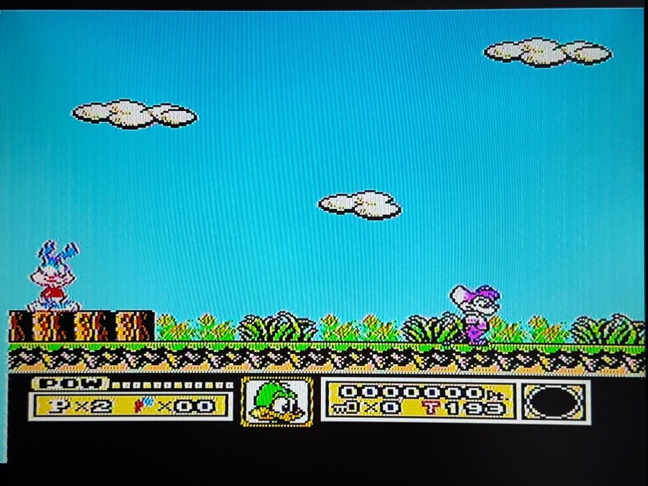 Tiny Toon Adventurers, Unikat, Pegasus