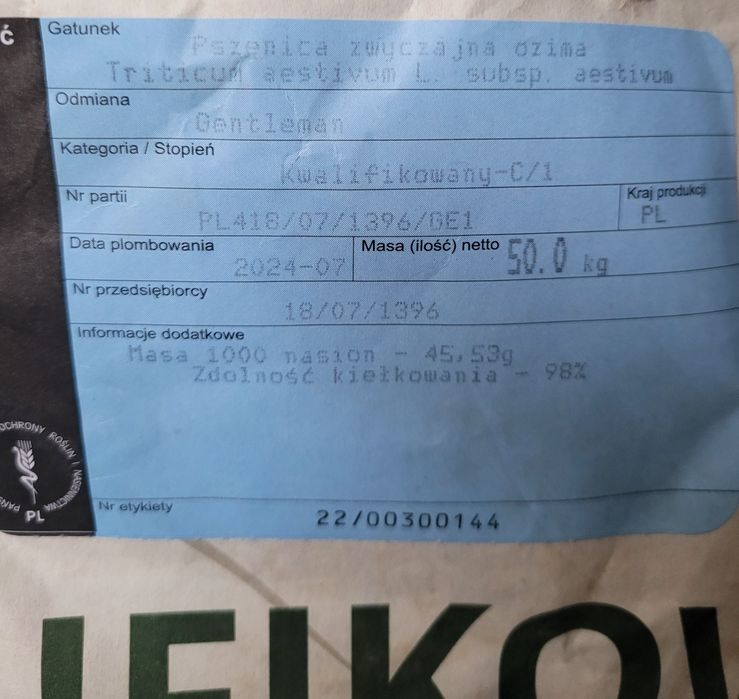 Pszenica Ozima Gentelman