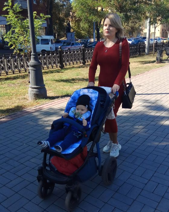Коляска 2 в 1 Amelis