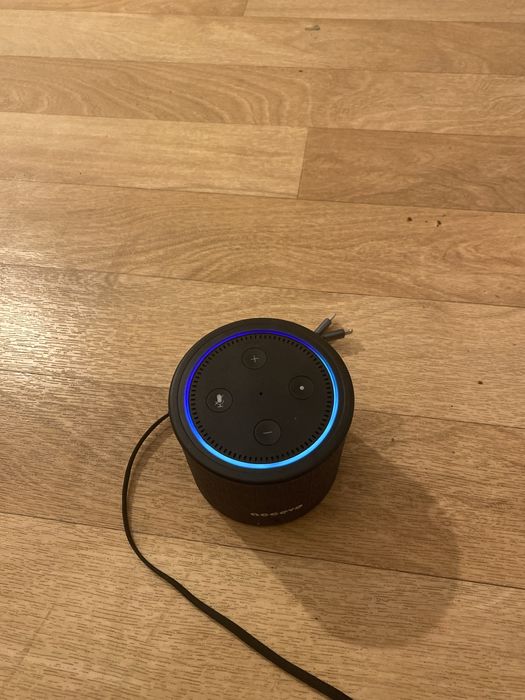 Accevo echo dot 2