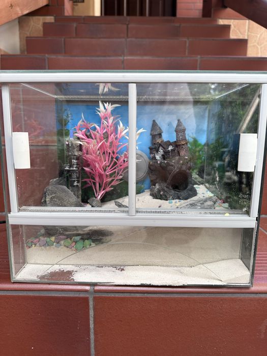 Terrarium 30x25x25