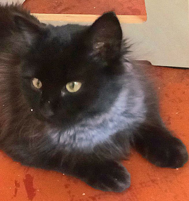 Mama z czarnym długowłosym synkiem-bardzo boją się wybuchów w Charkowi