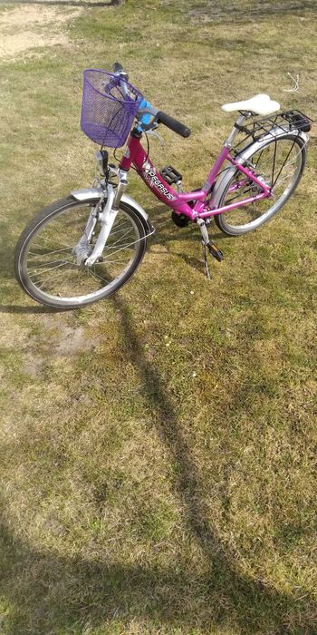 Rower damka, dziewczęcy koła 24", Pegasus