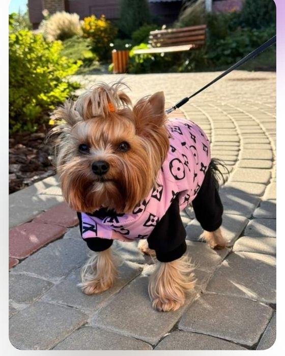 Зимовий жилет для собак