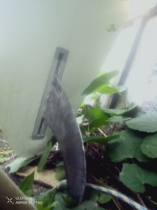 Prancha de surf usada mas em bom estado