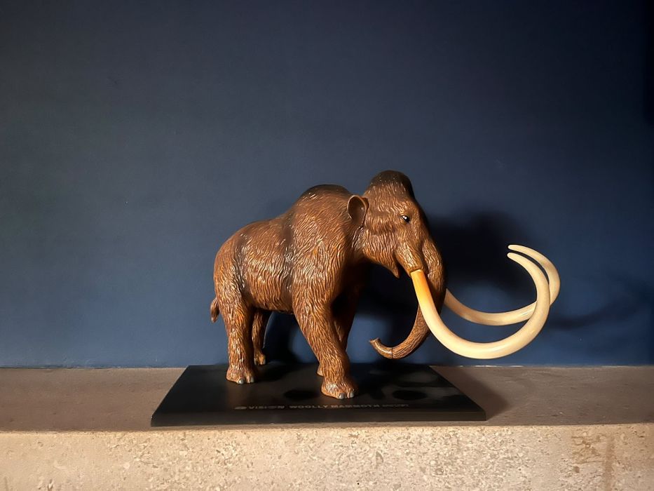 Modelo de Anatomia 4D Vision – Mamute Lanoso (Woolly Mammoth