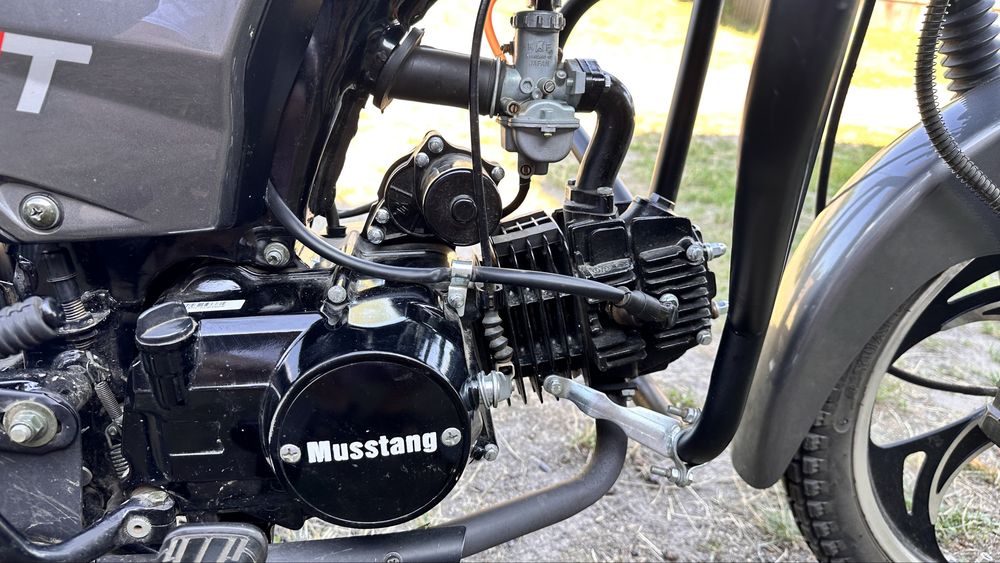 Mustang fit 125 (2023)
