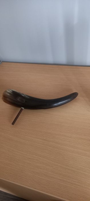 Cinzeiro corno em osso