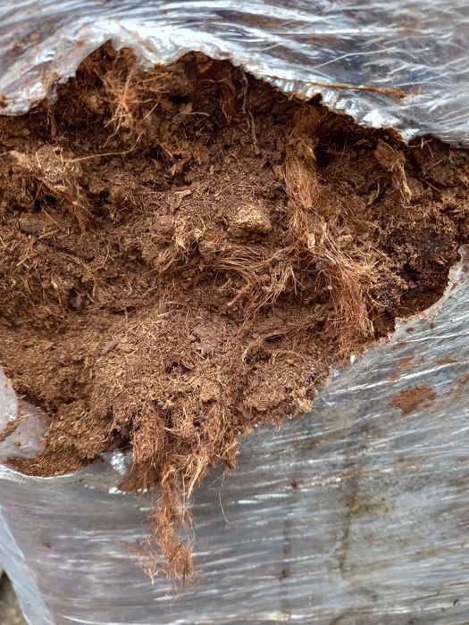 Torf kwaśny, najtaniej