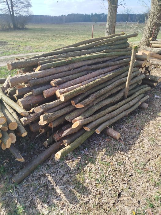 Stemple, slupki idealne na ogrodzenie tymczasowe , do siatki!