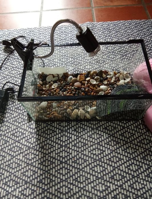 Aquário para animais