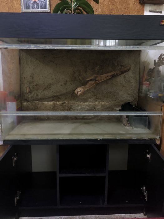 Продам огромный Террариум с тумбой 100*60 см