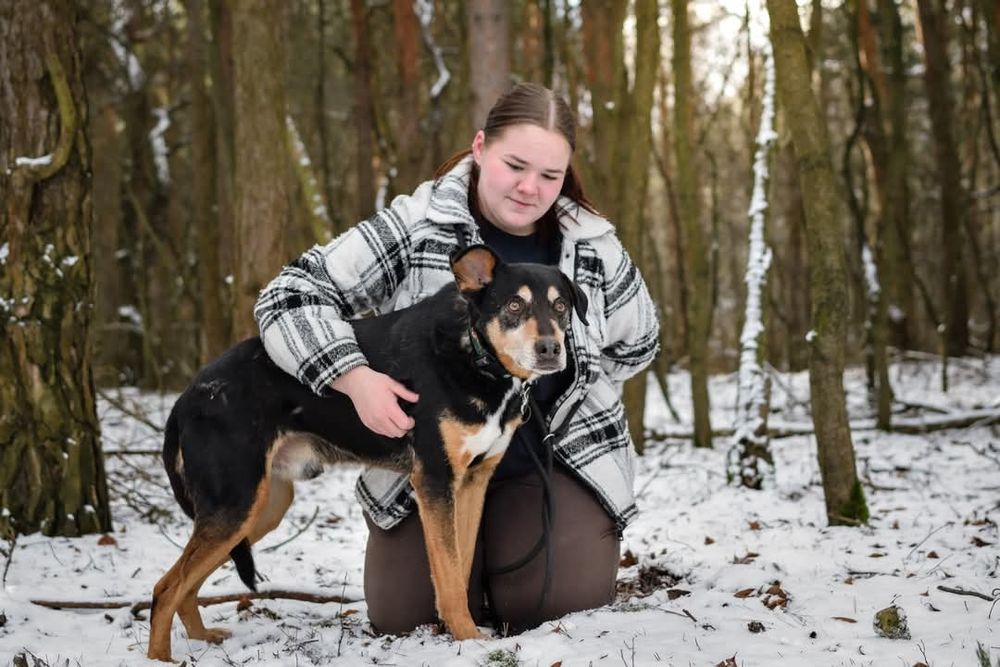 Od szczeniaka w schronisku... Czy uśmiechnie się do niego szczęście?