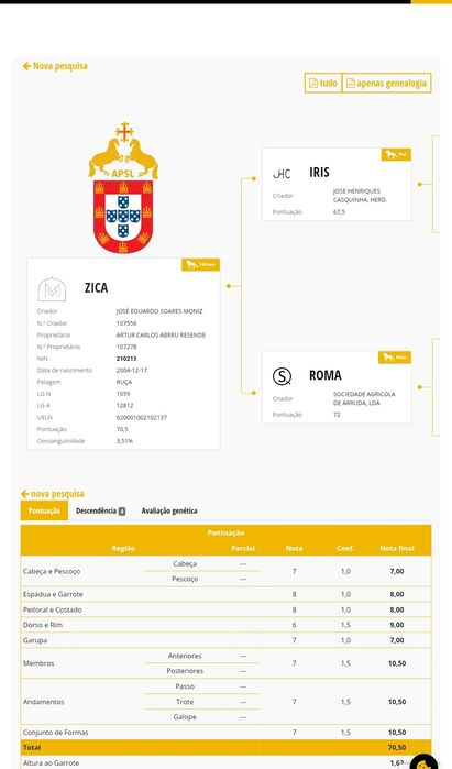 Segue para venda poldra lusitana com 1 ano de idade