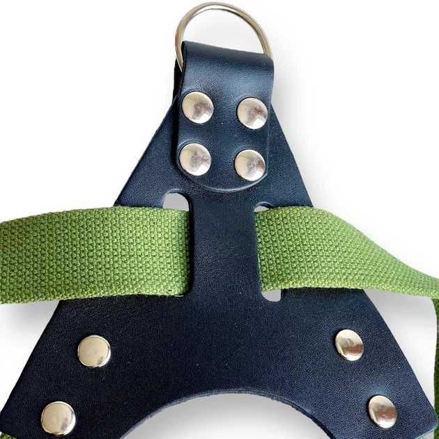 Шлейка для собаки Canem брезентова