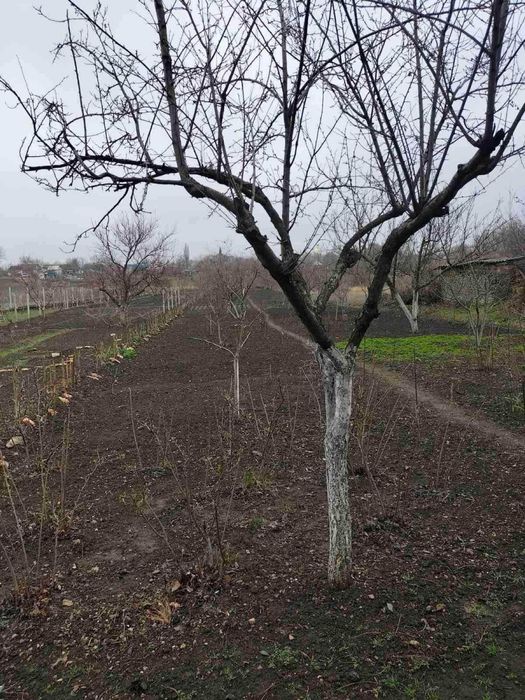 Дом по адресу (площадь 150 м²) - Atlanta.ua - фото 20