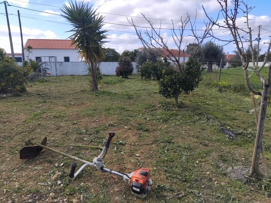 Limpeza de terrenos, quintais, podas e áreas com vegetação densa.