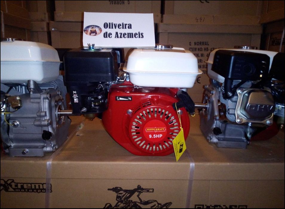 Motor gasolina 4 Tempos 9,5HP japonês