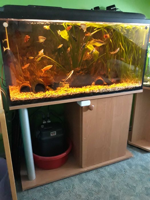 Akwarium 200 l - zestaw.