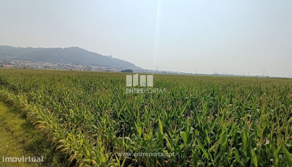 Venda de terreno agrícola com 7890m², Areosa, Viana do Castelo