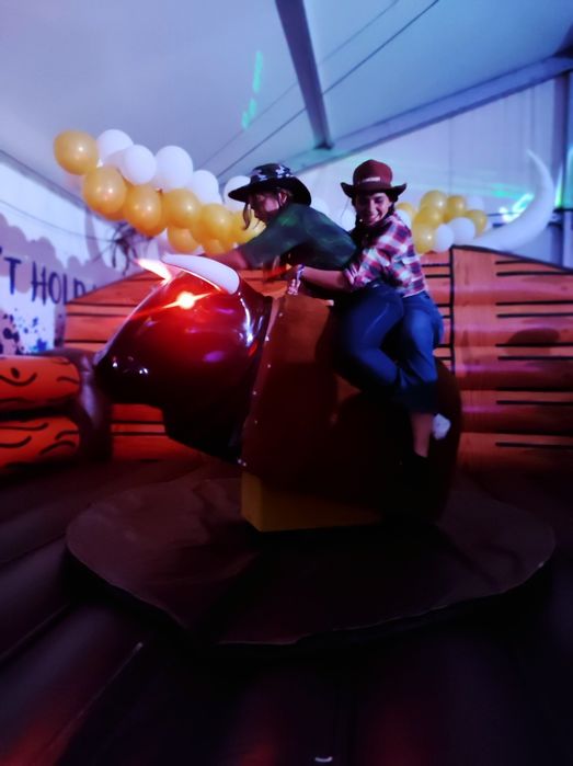 Aluguer Touro Mecânico