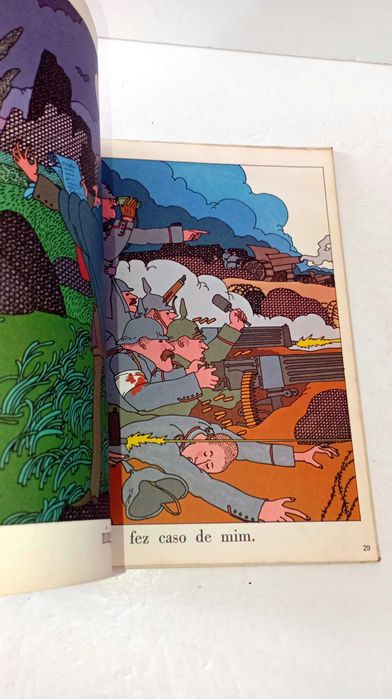 Sou uma Rocha . Primeira Biblioteca Despertar