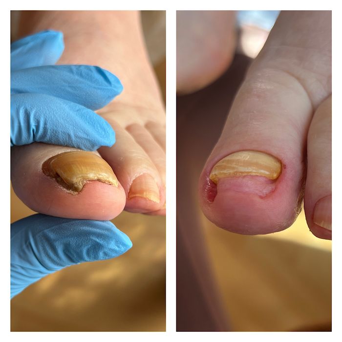 Mobilny Podolog - Łódź i okolice