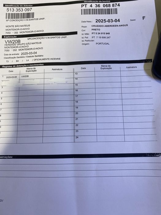 Vitelas Anguns para venda com rejisto