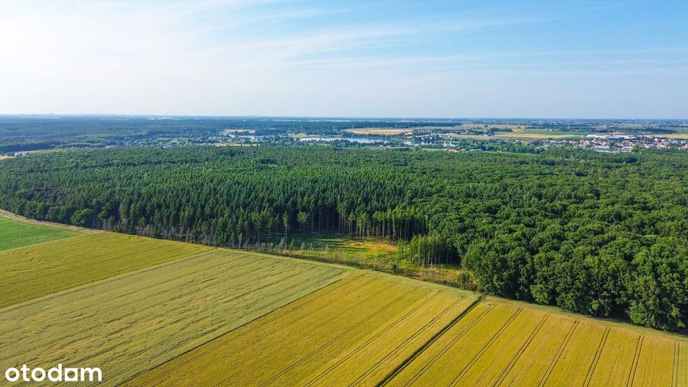 Działki pod LASEM ! Możliwość płaskich dachów ! od 806m2