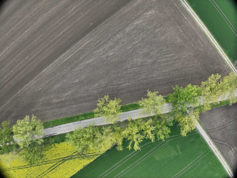 Mapowanie i pomiar pól dronem DJI M3M - RTK, MAPY VRA, ROLNICTWO 4.0