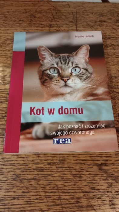 Kot w domu. Angelika Juritsch