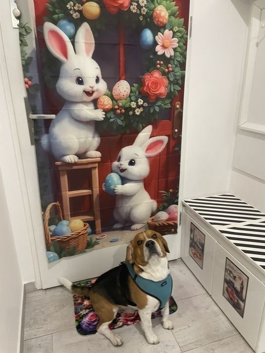 KRAKÓW!!! .Apartament mieszkania na doby,przy rynku dla 4-5 osob,garaz za darmo