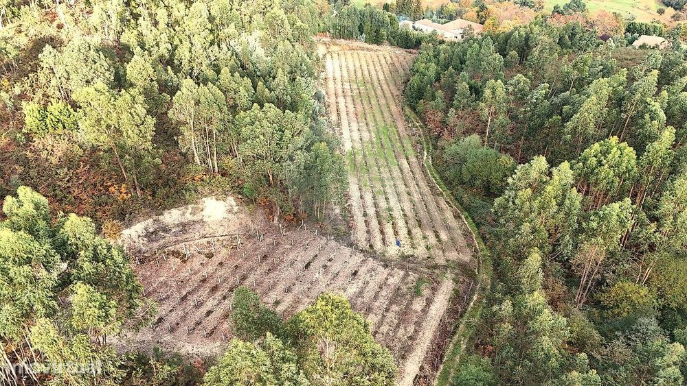 Terreno  para venda — Bucos, Braga