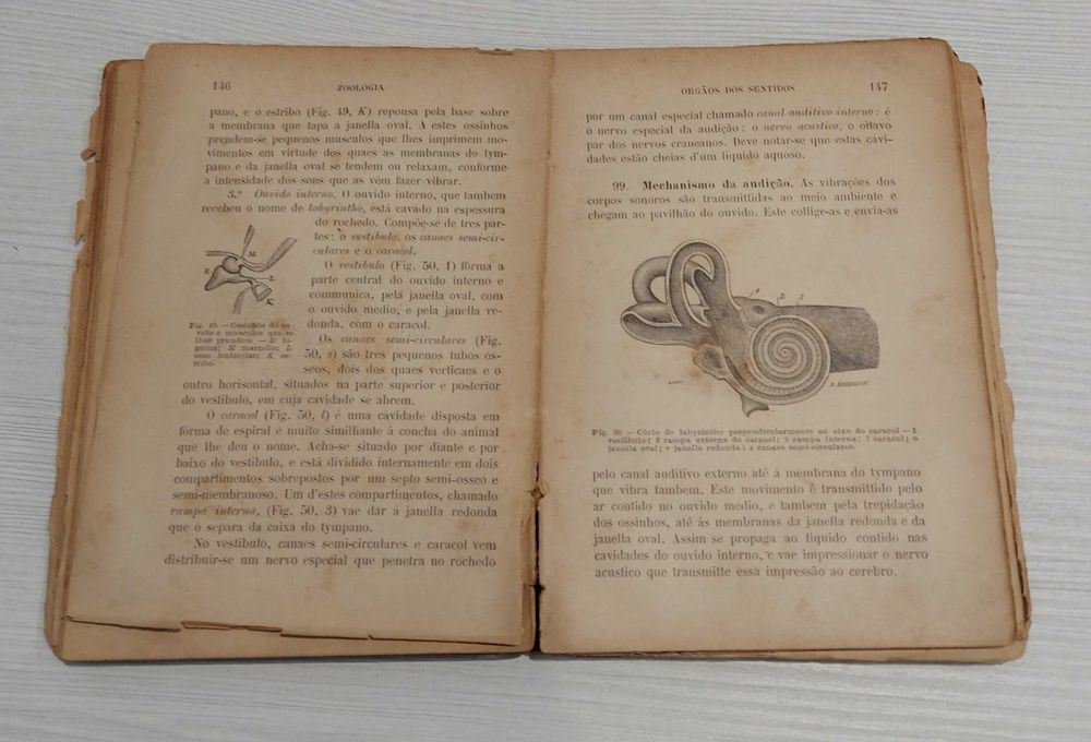 Elementos de zoologia - 1894 - de Maximiano Lemos