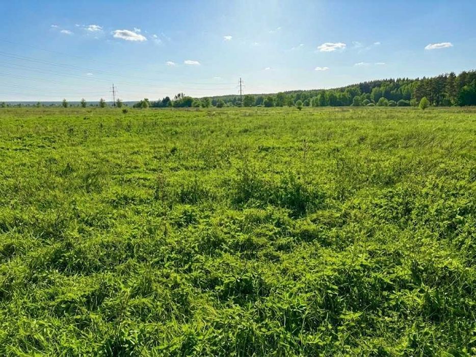 Продаж земельної ділянки 1,5982 га у Мироцькому !