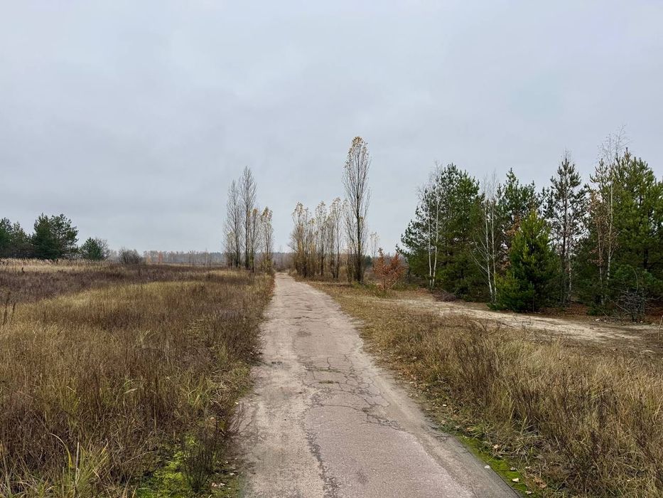 Дмитрівка. 8 сот Під Будівництво. З СОСНАМИ. Без комісії