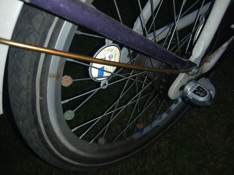 Rower 20 dla dziewczynki