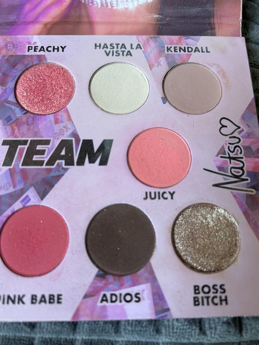 Paletka Natsu Team X