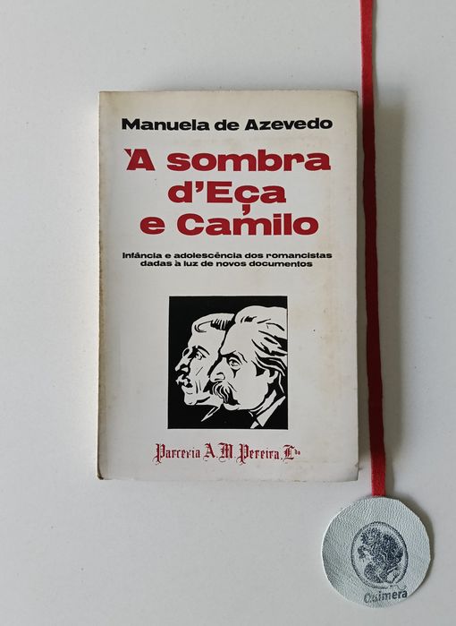 À sombra d'Eça e Camilo, Infância e adolescência dos romancistas dadas à luz de novos documentos