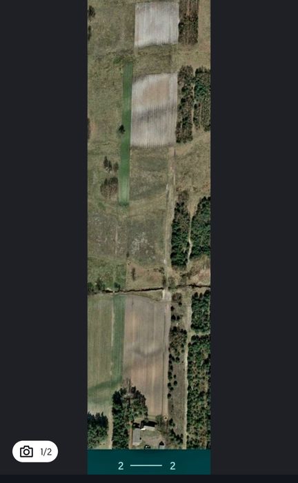 Wynajmę ziemię w Jankowicach - Widok 2