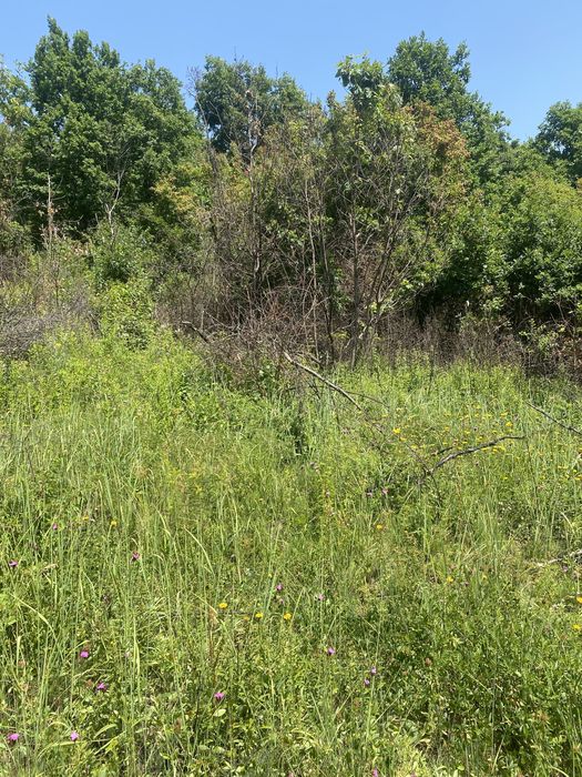 Земельна ділянка