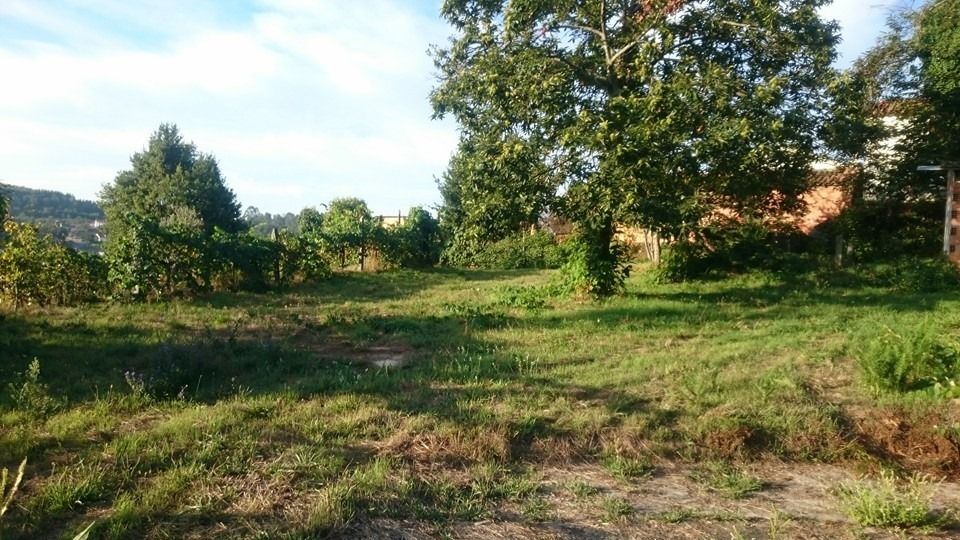 Moradia para reconstrução e Quinta com barracão, canastro e poço.