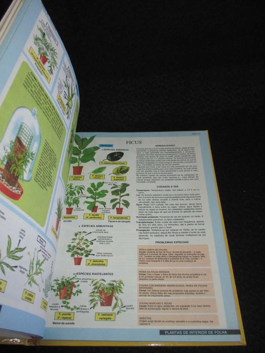 Livro Plantas de Interior Manual de cultivo e conservação Hessayon
