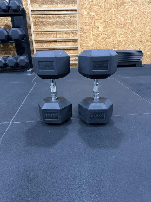Halteres 37.5kg novos
