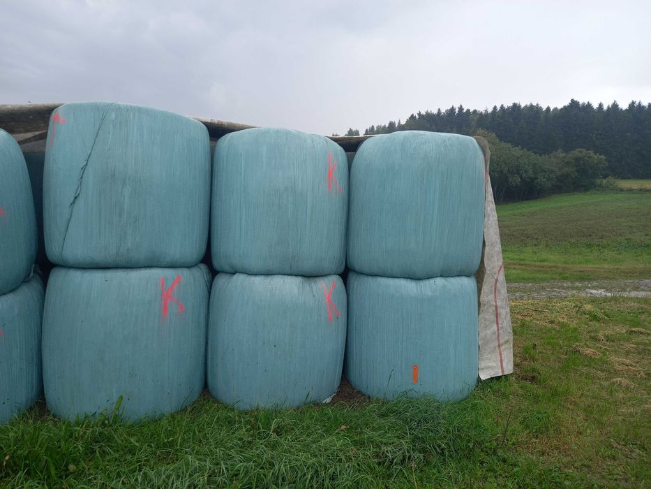Bele, baloty sianokiszonka z koniczyny oraz traw