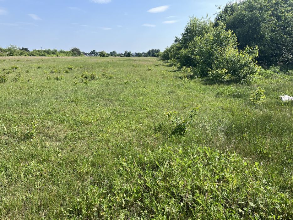 Działka budowlana 0,5 ha