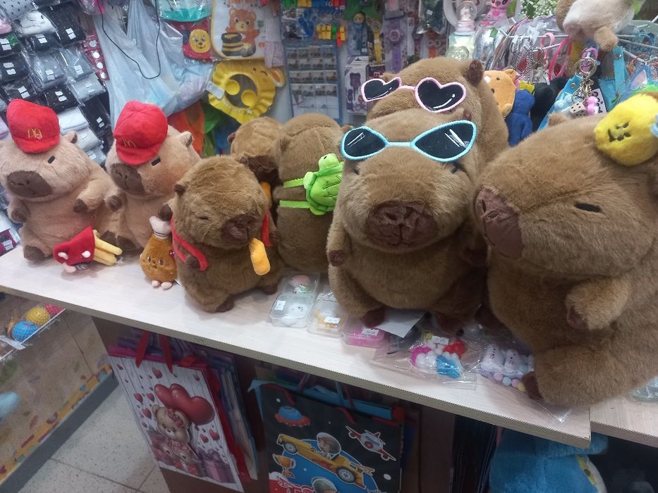 Капібара з сопелькою в Житомирі, Капибара з соплёй