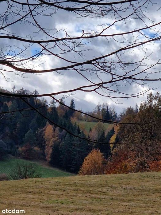 Dolnośląskie, panorama na Sudety, Gruszków