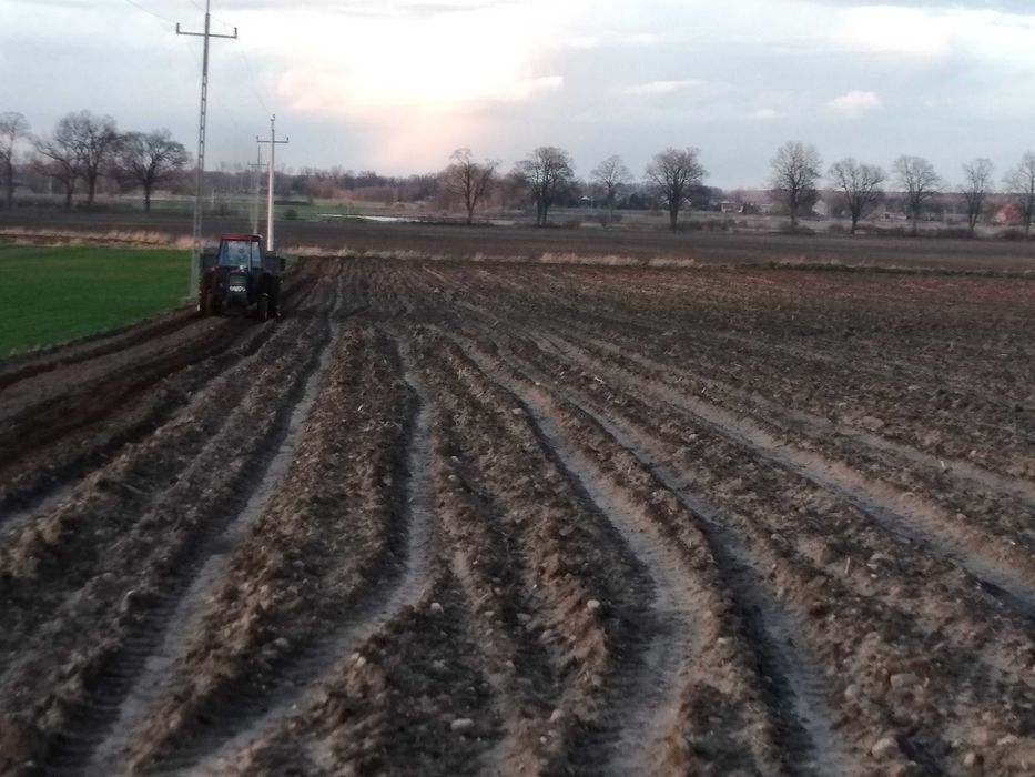 Sprzedam 2,98 h ziemi rolnej, dzialka ogrodzona, mały staw